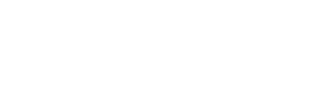 cropped-BSIS-Logo-White-short.png Black Swan Insurance Services Logo