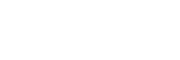 Black Swan Insurance Services Logo