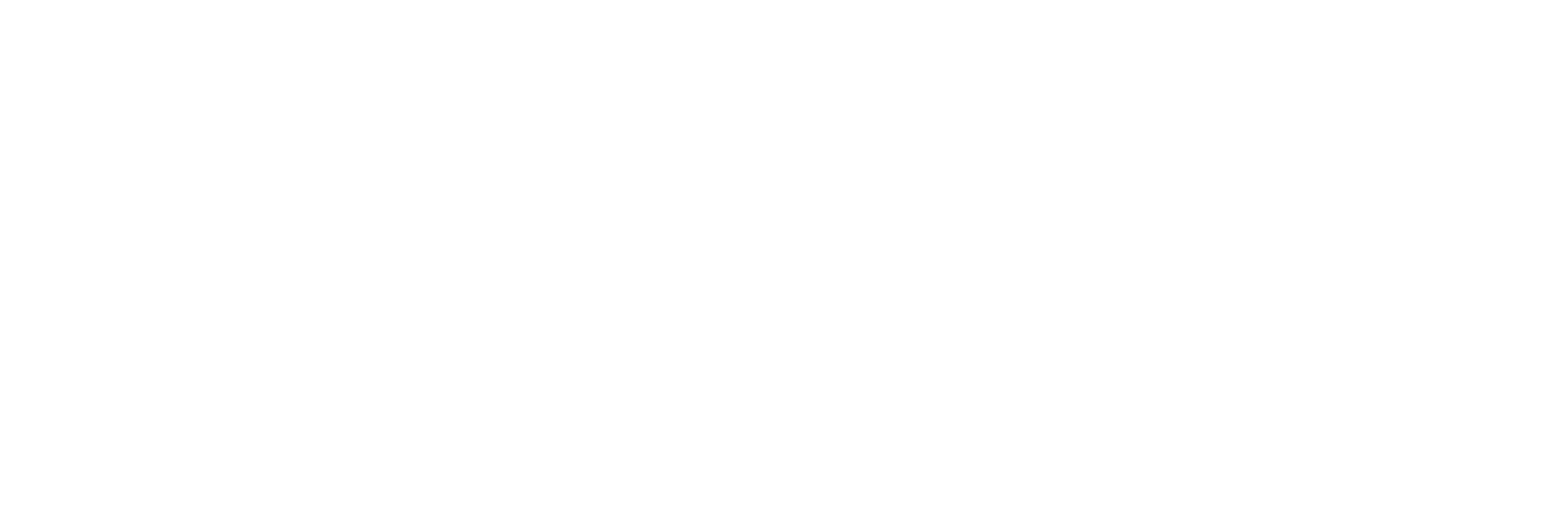 cropped-BSIS-Logo-White-short.png Black Swan Insurance Services Logo