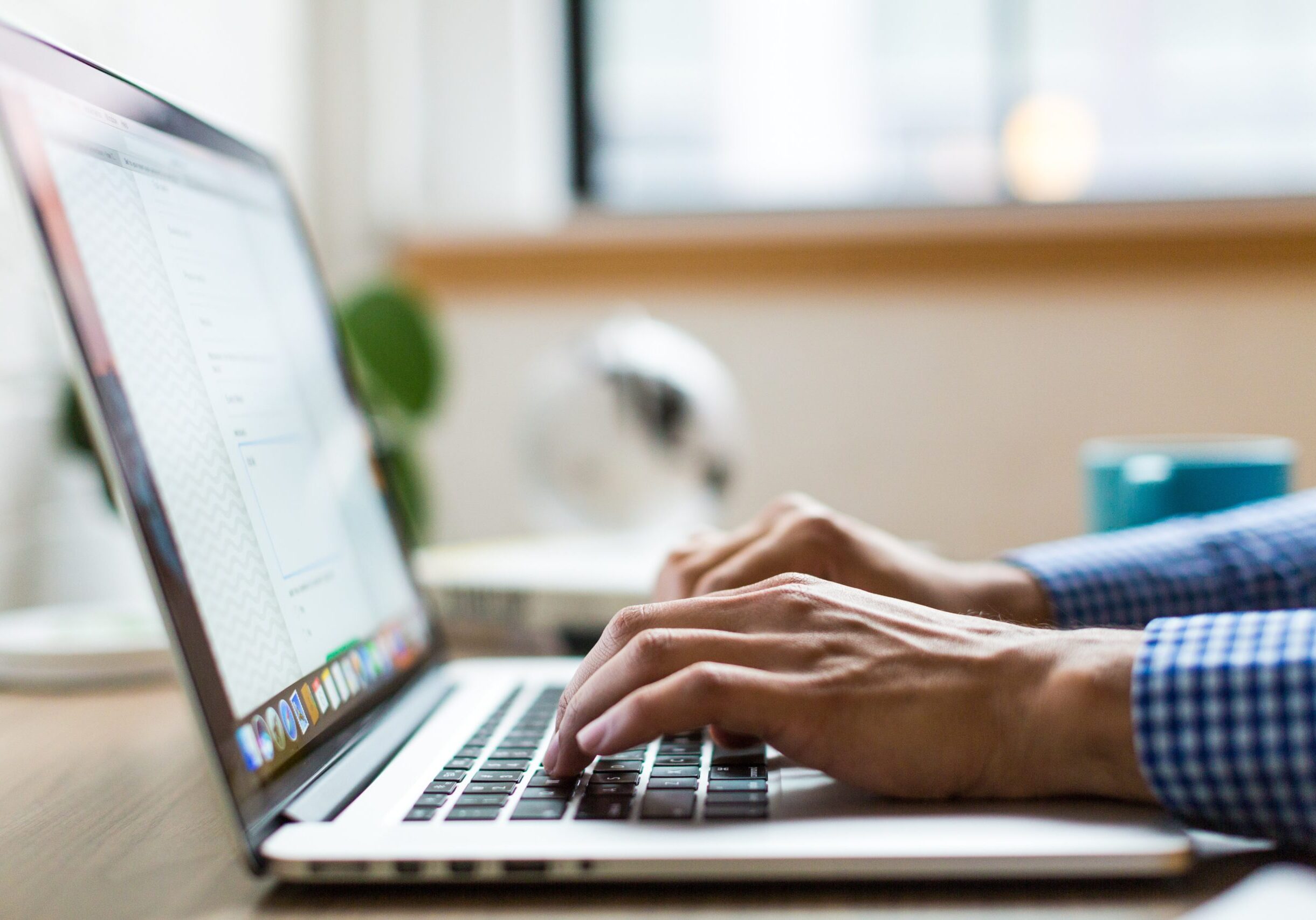 person-using-laptop person-using-laptop